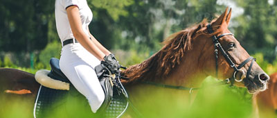 Reiten